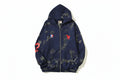 Balenciaga Zip Up